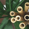 yellow bamboo straw